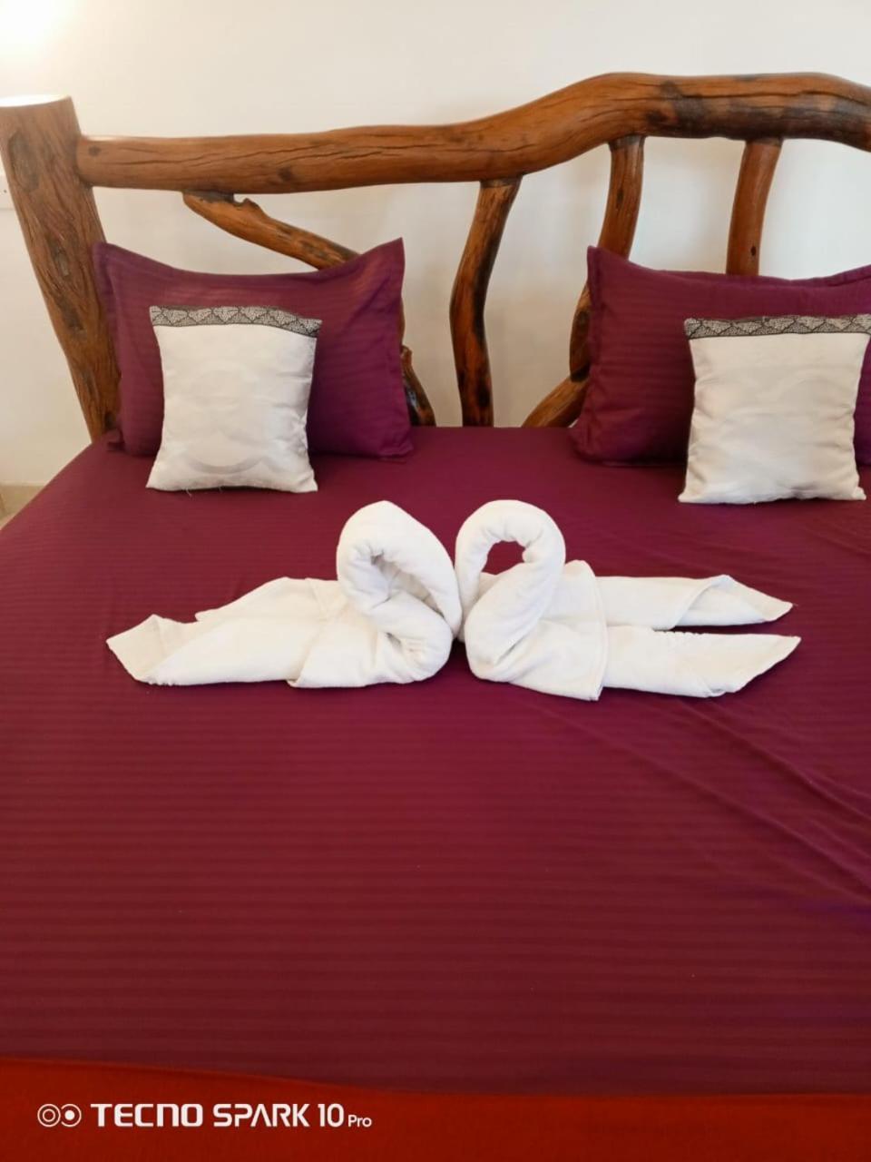 Ayurvedic Lanka Wellness Hotel Moragaswewa المظهر الخارجي الصورة