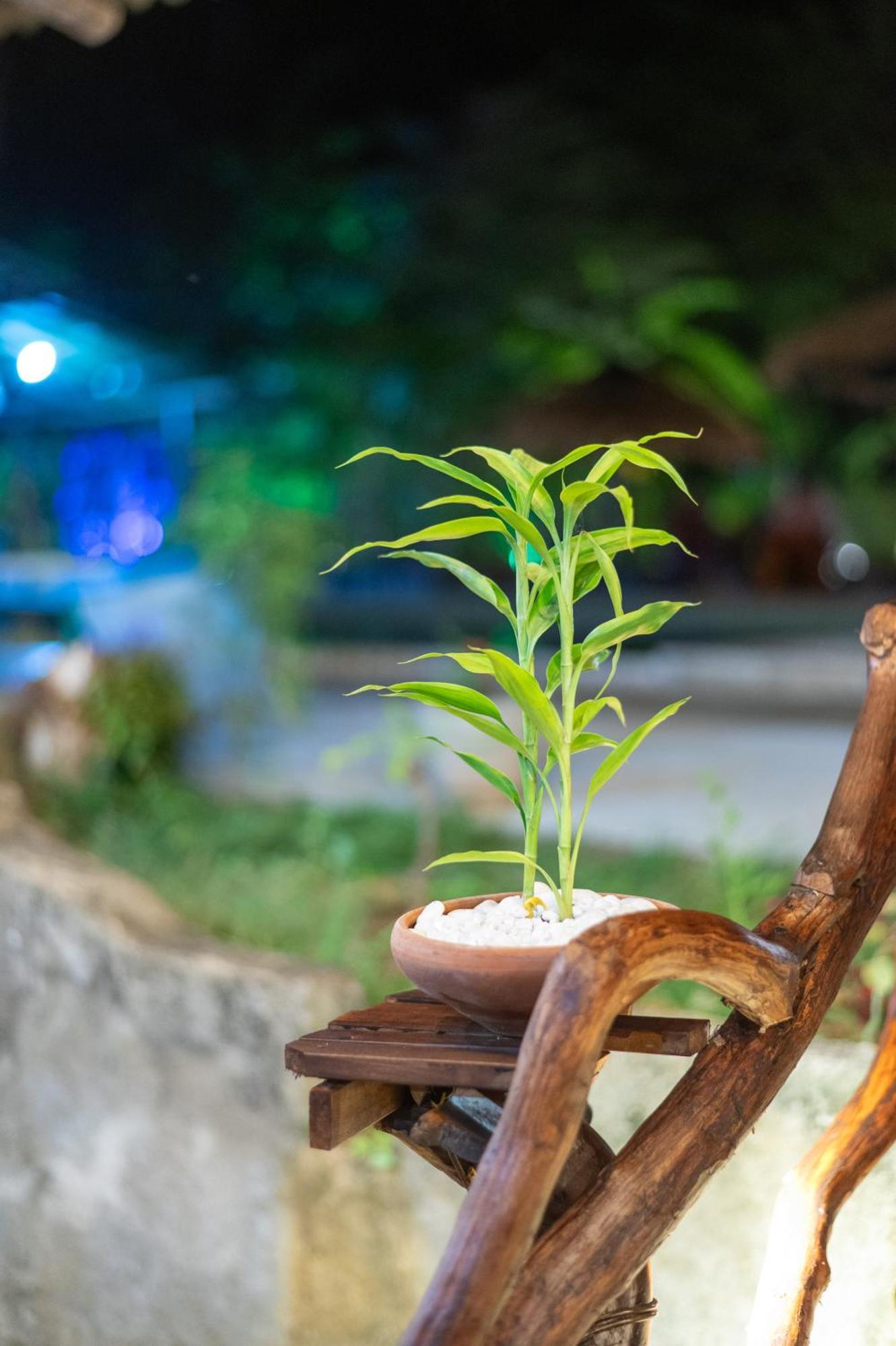 Ayurvedic Lanka Wellness Hotel Moragaswewa المظهر الخارجي الصورة