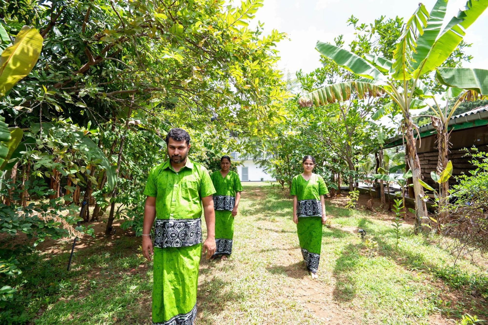Ayurvedic Lanka Wellness Hotel Moragaswewa المظهر الخارجي الصورة